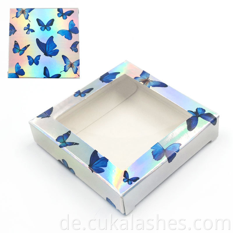 Butterfly Lash Case